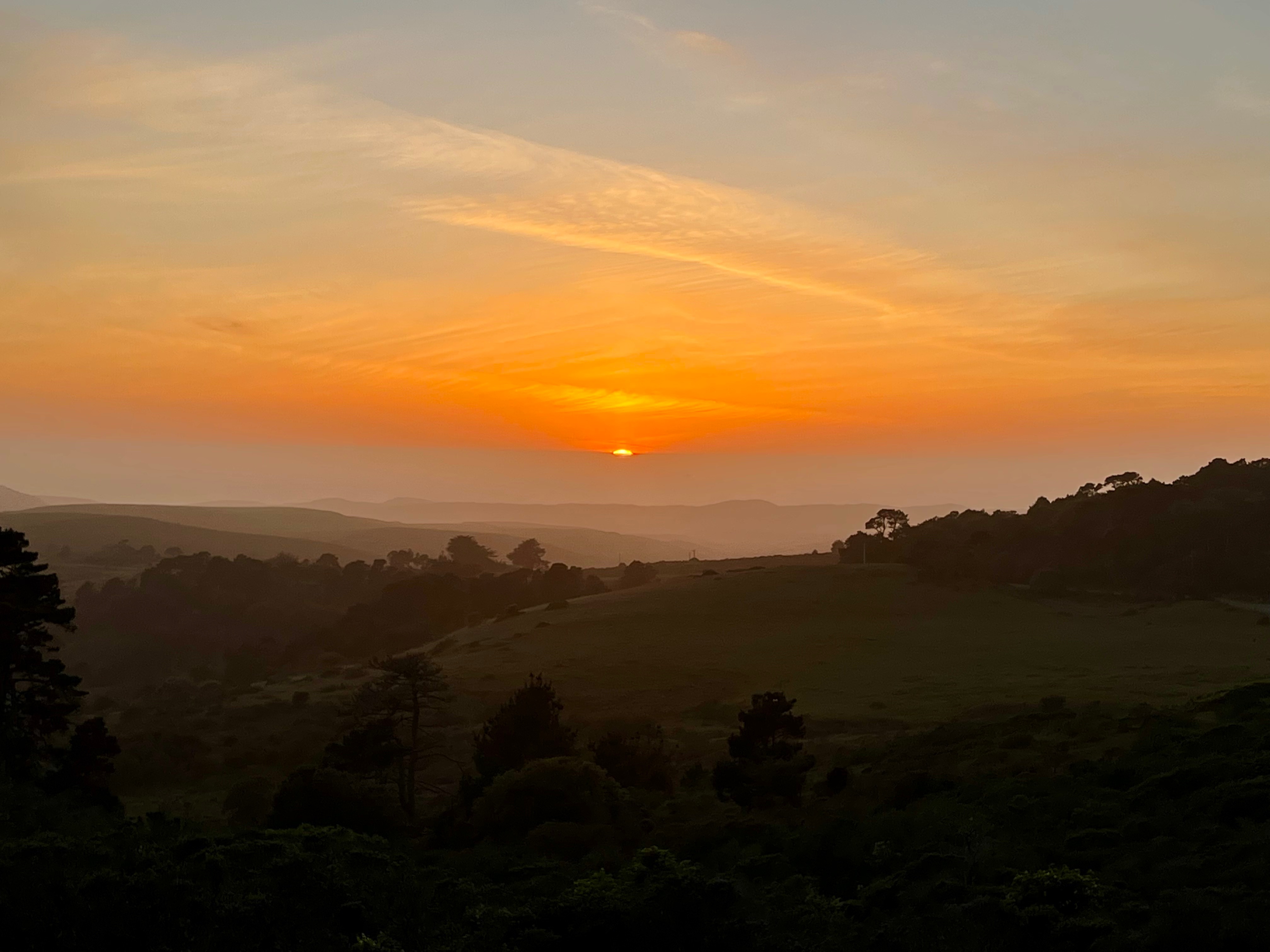 A Day In Point Reyes National Seashore – ARPostCardJourneys